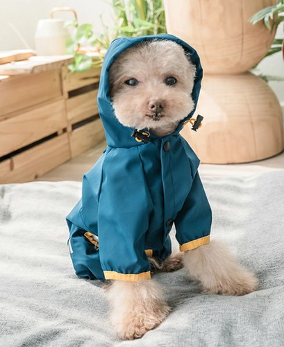 Dog raincoat teal blue and - dog,