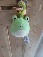 Wendy the Frog Squishmallows