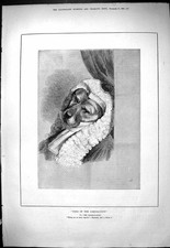 Original Old Antique Print 1880 Dogs Corporation Judges Wig Remembrancer 19th