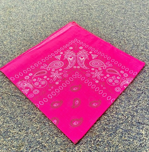 Bright pink paisley bandanna - bright,