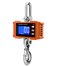 Electronic Crane Scale