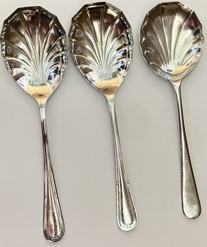 Vintage large shell shape - 3,