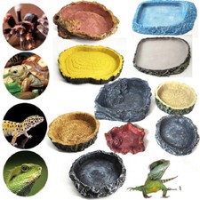 Reptile Water Dish Gecko Resin