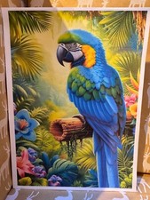 Gold and Blue Macaw Parrot