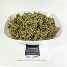 Rhododendron adamsii 1LB FRESH