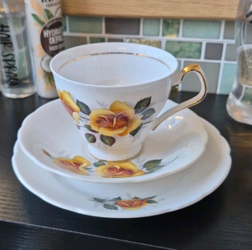 Royal windsor yellow rose - rose, tea