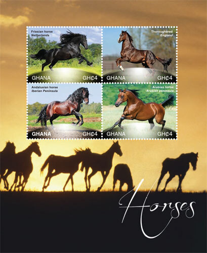 Ghana 2015 friesian horses - -,