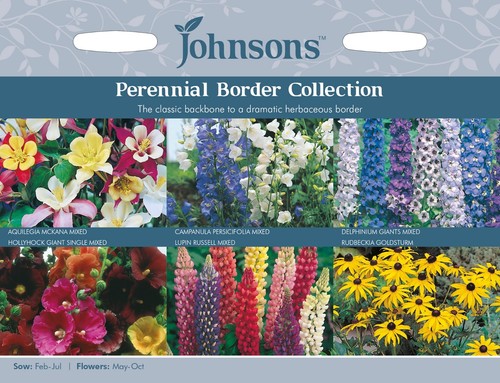 Perennial flower seeds border - perennial,
