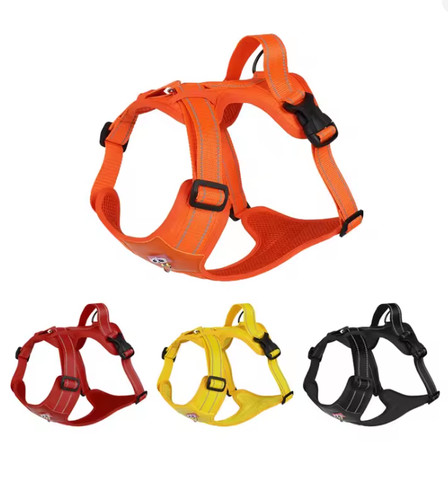 Doberman pinscher dog harness - pinscher,