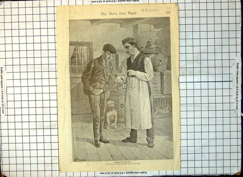 Old buying first pet boy - old,