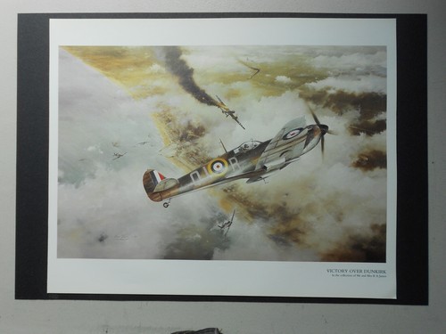 Airforce print victory - airforce,