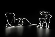 Christmas Neon Rope Lights