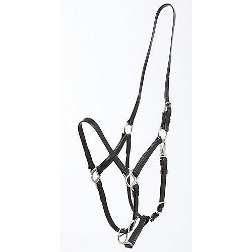Zilco deluxe endurance halter - zilco,