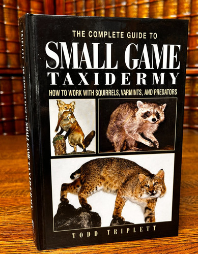 Small game taxidermy - small,
