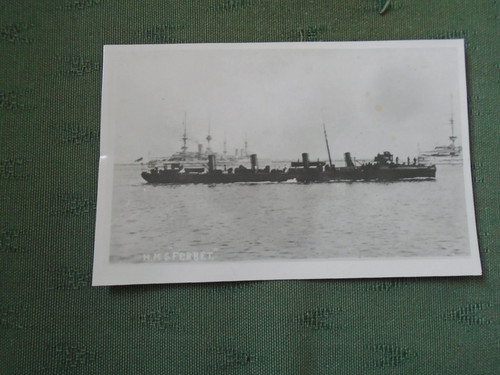 1906 hms ferret - ferret,