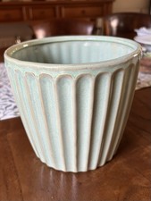 SAGE Green Ribbed Houseplant