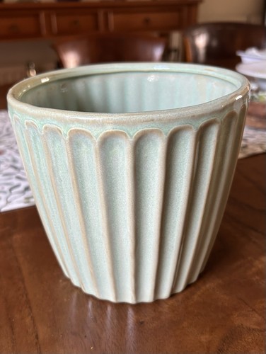 Sage green ribbed houseplant - sage,