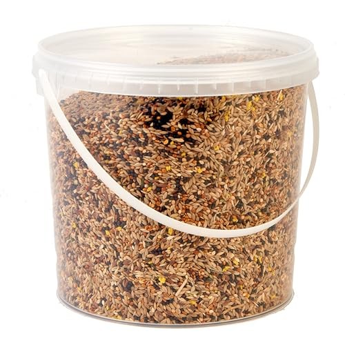 Premium canary seed mix food - mix,