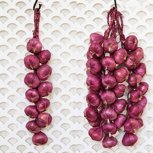 Artificial garlic string - garlic,