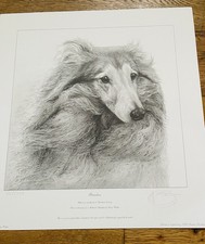 GARY HODGES 'BRACKEN ' The Dog