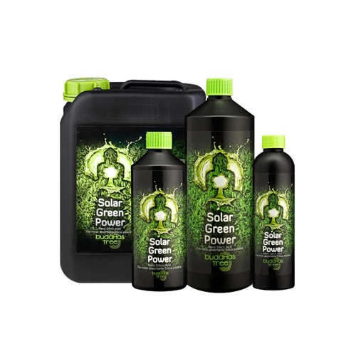 Buddhas tree solar green - buddhas,