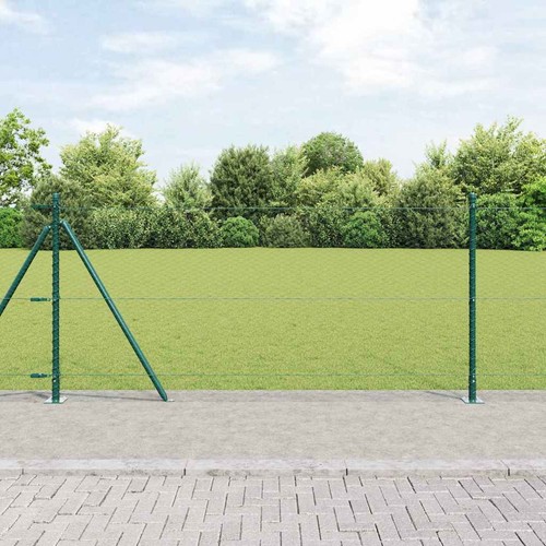 Walplus fencing set - fencing, green