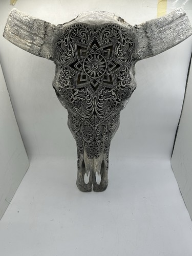 Cow steer skull - steer, hand