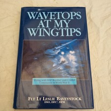 Wavetops at my Wingtips