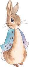 Peter Rabbit Watercolour Wall