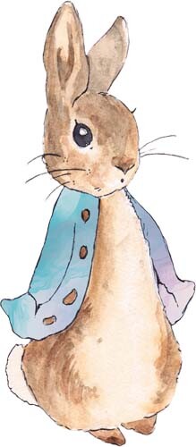 Peter rabbit watercolour wall - rabbit,