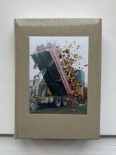 Stephen Gill Coming Up for Air Retrospective Book New