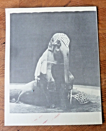 Bertram mills circus - 1959, tour