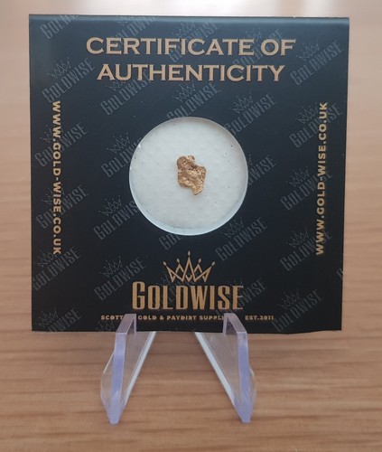 Scottish gold nugget hand - scottish,