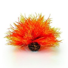 BIORB OASE FLAME SEA LILY