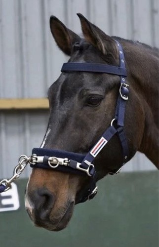 John whitaker cavesson lunge - john,