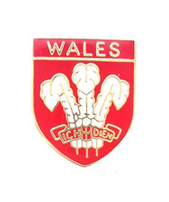 Prince of Wales Feathers Welsh