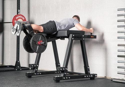 Verve reverse hyperextension - verve,