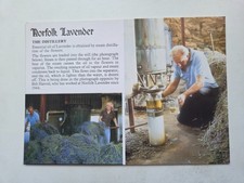 Vintage Norfolk Lavender