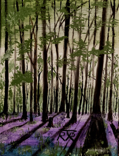 Forest landscape filled - , with