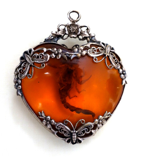 Vintage real scorpion - vintage,