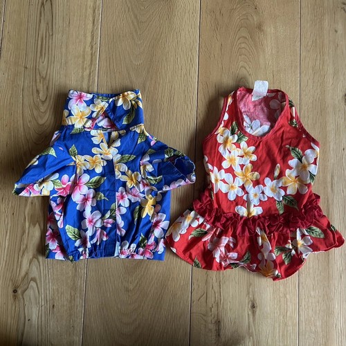 Small dog holiday outfit - outfit, set