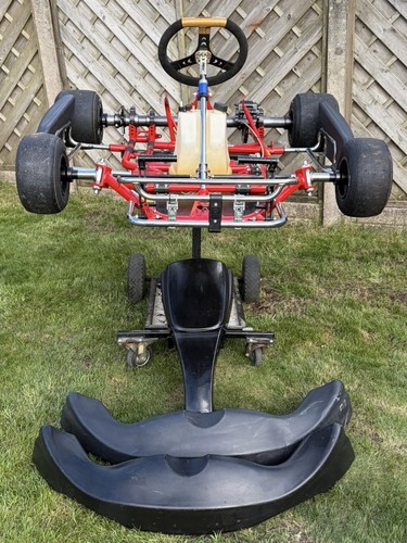 Gold viper junior - gold,