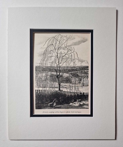 Tunnicliffe weeping willow - tunnicliffe, 'weeping