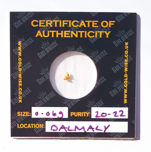 Goldwise gold nugget 06g - goldwise, 0.06g