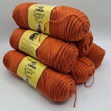 Caron Simply Soft Light Knitting Crochet Yarn 6X85g Balls 