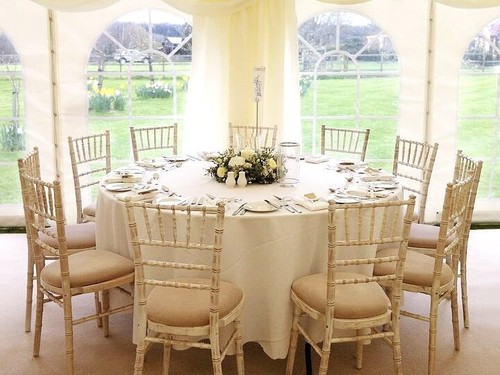 Limewash chiavari chairs - limewash,