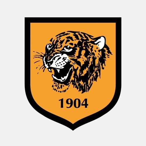 Hull city leeds - city, v