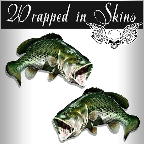 Large mouth bass - bass, rv