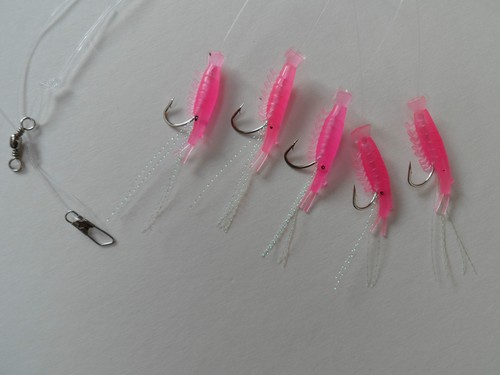 Hook shrimp rig - shrimp,