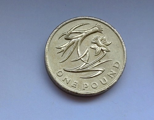 2013 one pound coin welsh - 2013, £1